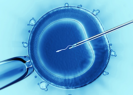 fertility clinic poland